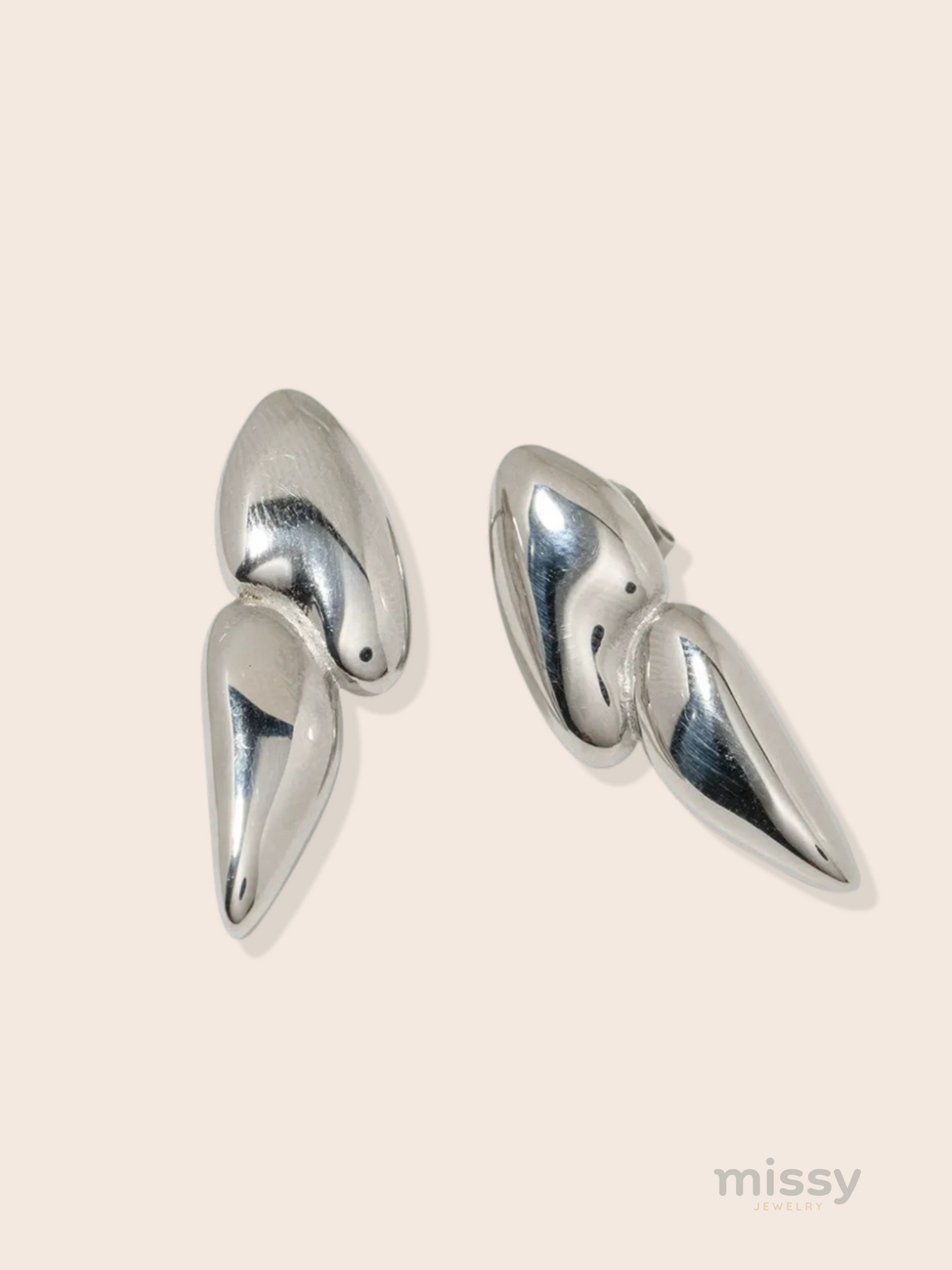 Mary Stainless Steel Modern Earrings