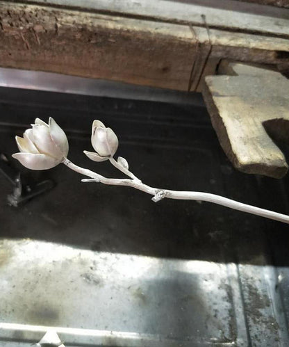 Silk Sterling Silver Yulan Magnolia Hairpin