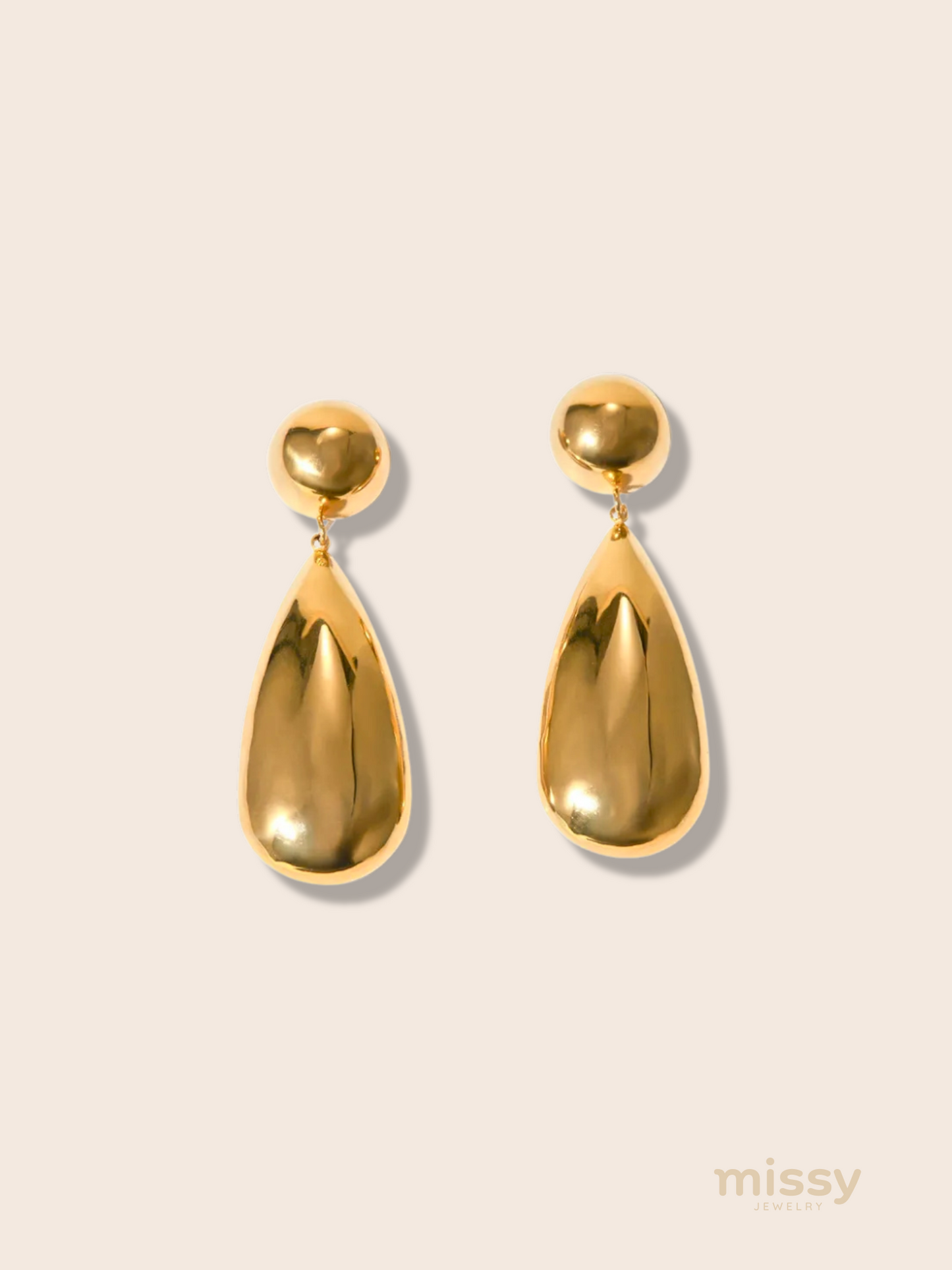 Mary Stainless Steel Modern Earrings