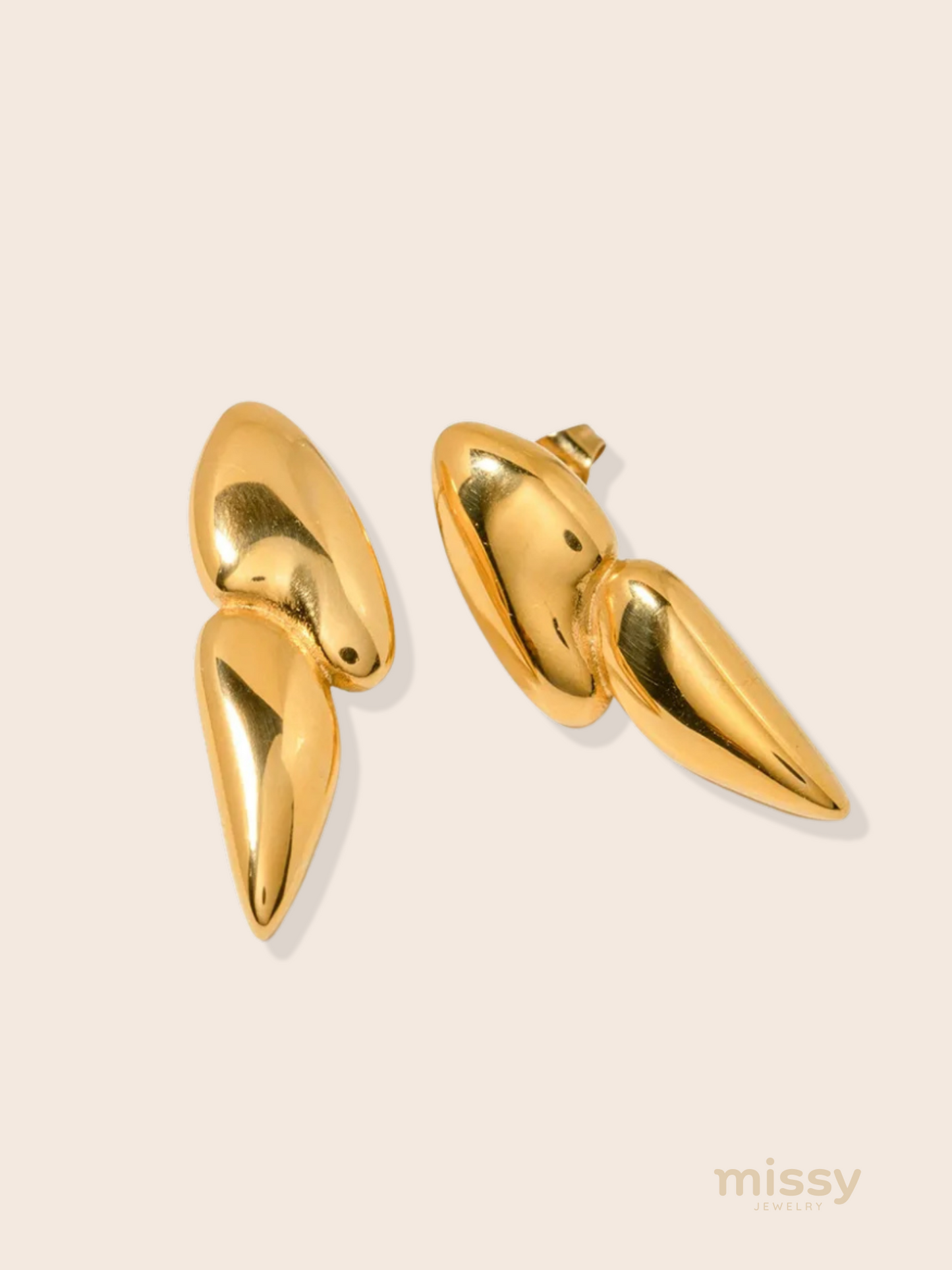 Mary Stainless Steel Modern Earrings