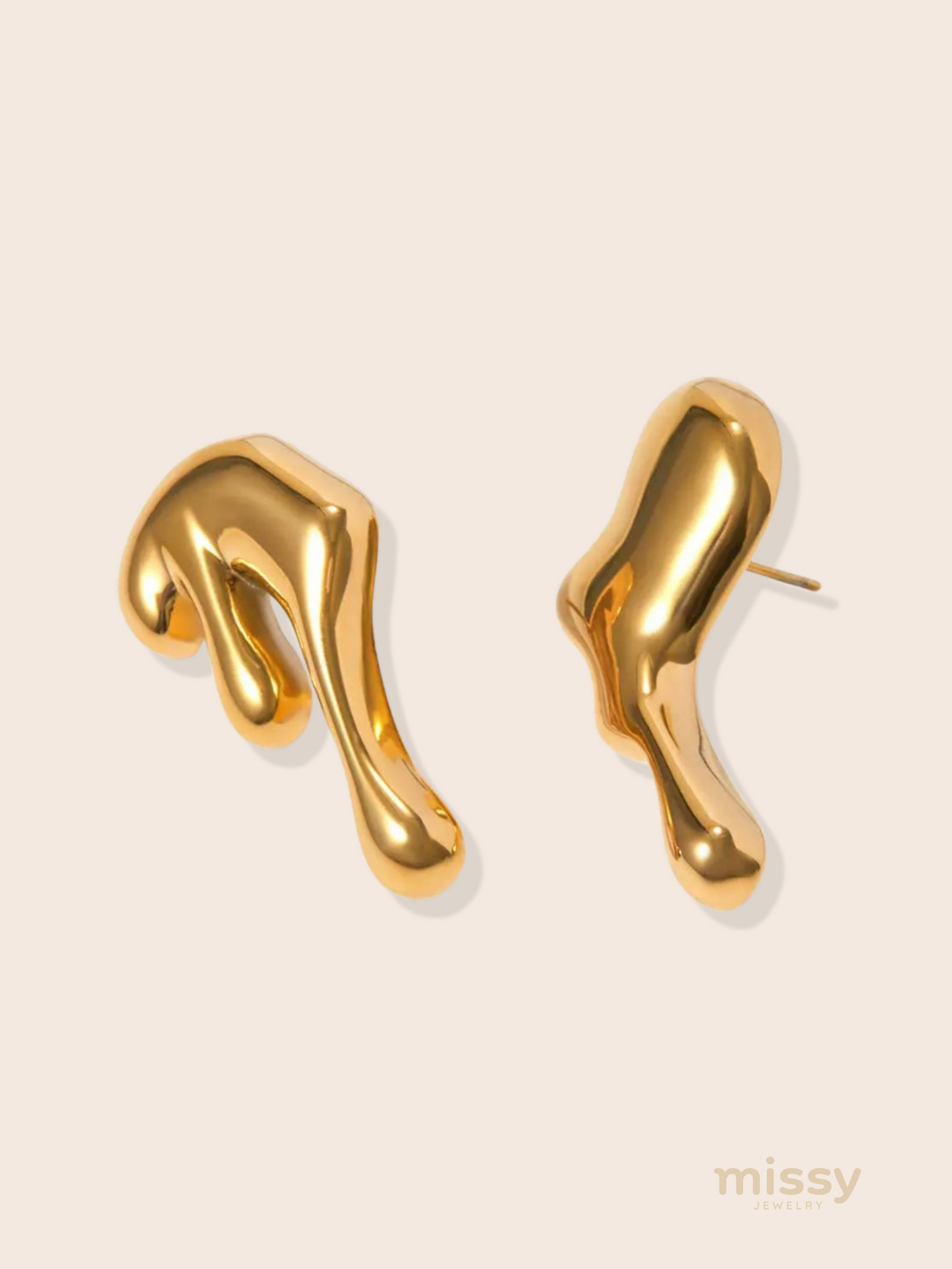 Mary Stainless Steel Modern Earrings