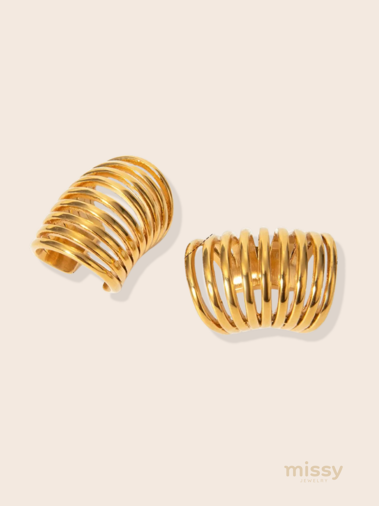 Mary Stainless Steel Modern Earrings
